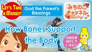 Let’s Take a Moment: Think about God the Parent’s Blessings[How Bones Support the Body]