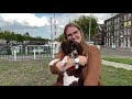 Wibo uit Vlaardingen helpt Jeske met PTSS aan een hulphond