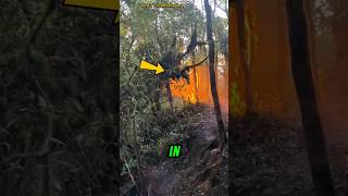 Download lagu This hiker experienced an extraordinary moment💥☝️#shorts #interestingfacts #uniquefacts mp3