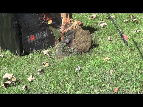 Bow Mag | .357 Magnum