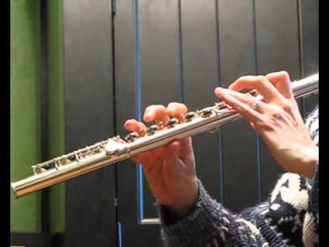 Yamaha Allegro 371 Used Flute - Demo Response
