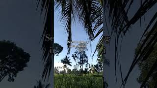 Download lagu pesonaalam #dj #videoviral #sejukdesaku mp3