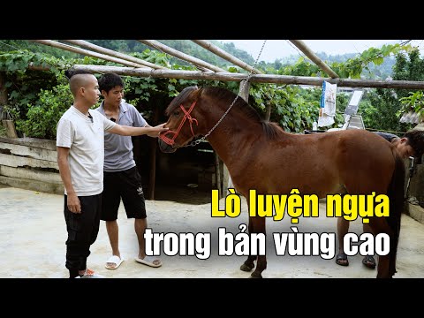 , title : 'Ngôi bản toàn ngựa đua gấp rút làm đẹp cho ngựa trước chung kết tại Bắc Hà Lào Cai'