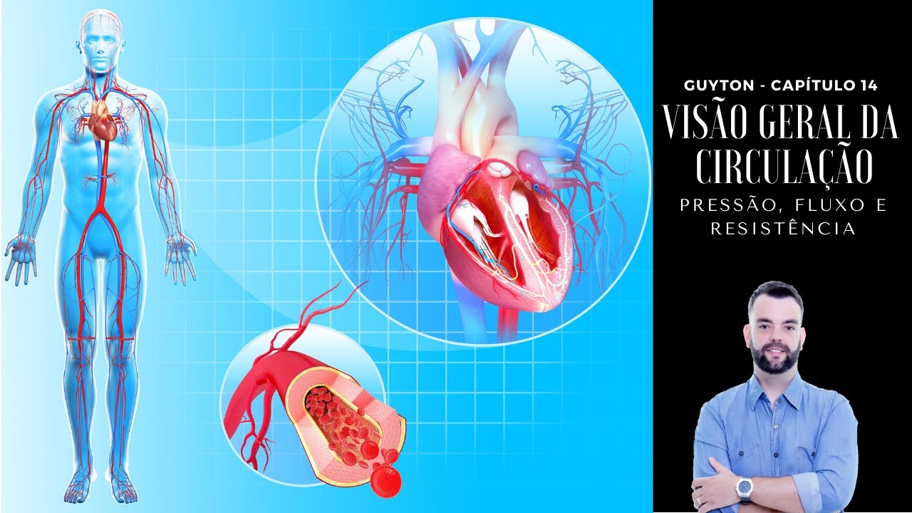 Fisiologia - Visão Geral da Circulação: pressão, fluxo e resistência. Guyton - Capítulo 14