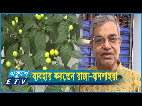 কুমিল্লায় ২৮ লাখ টাকায় ১ কেজি মরিচ! কে এই বিক্রেতা?
