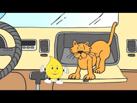 download lagu mp3 mp4 Bgfindashop Com, download lagu Bgfindashop Com gratis, unduh video klip Download Bgfindashop Com Mp3 dan Mp4 Youtube Gratis