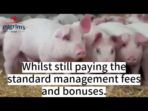 Learn about the new scheme