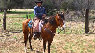 Jesus and John Wayne with lyrics