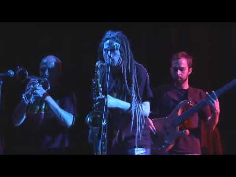 Warrior Stance - Lion Vibes (09.05.07.B7)