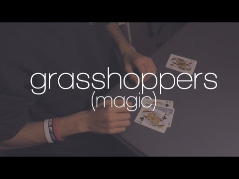 Grasshoppers - Paul Harris