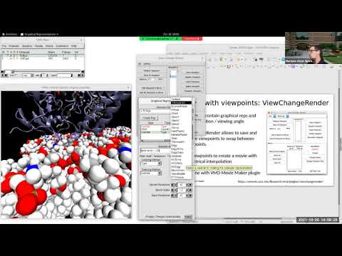 Mariano Spivak - Hands-on tutorial session: Creating images and movies with VMD and FFTK tutorial