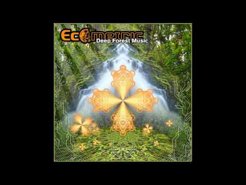Ecometric - Deep Forest Music