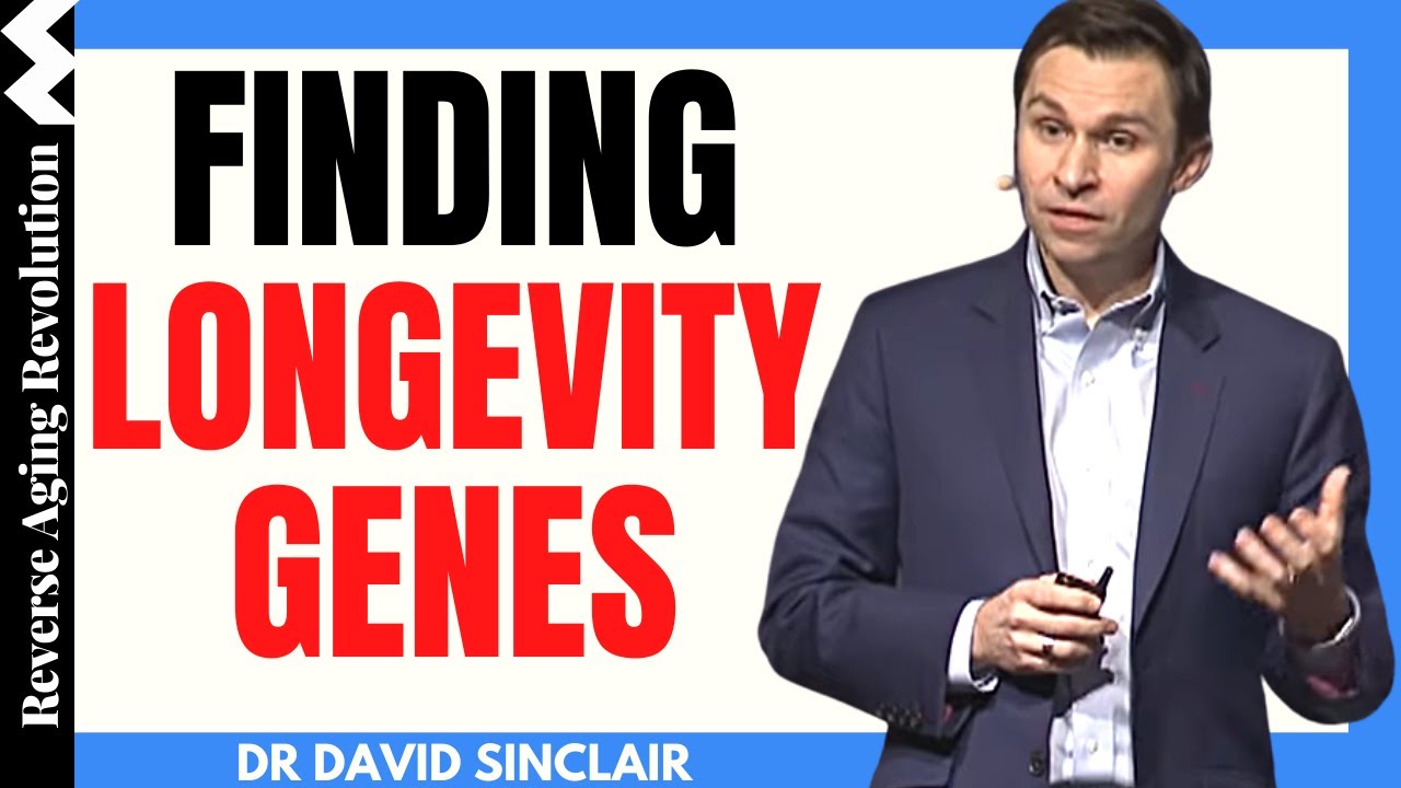 Finding LONGEVITY GENES | Dr David Sinclair Interview Clips | Reverse Aging Revolution