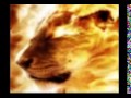 KNOW YOUR ENEMY THE HIVITES PART 3