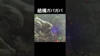 ガバガバ相殺👍#monsterhunterwilds #ハンマー