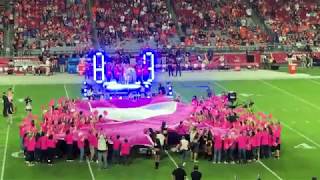 Anita Cochran "Fight Like A Girl" Halftime Show - Cardinals vs Broncos