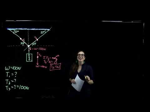 Week 5 PHY 221 - Stoplight Equilibrium