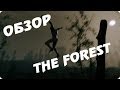 The forest обзор - НОВЫЙ РАСТ? 