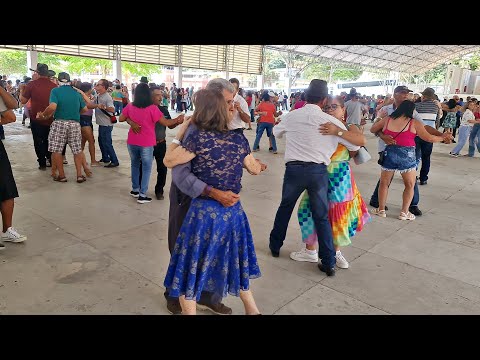 GAITEIRO RONCADOR - DANÇANDO FORRÓ NO BAILÃO DA TERCEIRA IDADE (XOTE)