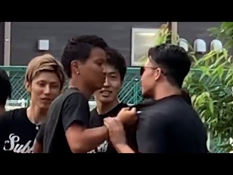 鳥を怖がらせて追い払うにはどうすればいいですか?