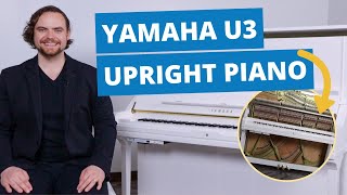 Video thumbnail for Yamaha U3 Acoustic Upright Piano Full Review & Playing Examples | Popplers Music by Popplers Music