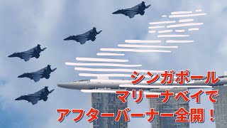 マリーナベイで航空ショー！？インフィニティプールを戦闘機が駆け抜ける！【シンガポール・ナショナルデー2021】