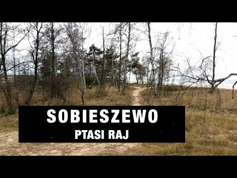 Sobieszewo - "Ptasi Raj" zimą