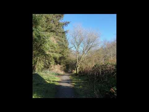 [SOLD] nothing,nowhere. x skele x sewerperson x brevin kim type beat - not what I had in mind.