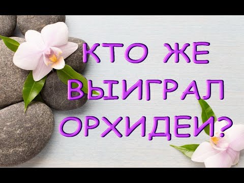 РОЗЫГРЫШ орхидей:ИТОГИ.К кому же поедут орхидеи? :)