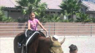Talisman Farm Las Vegas - New Vaulting Program