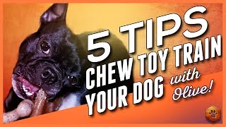 Video: 5 Tips Chew Toy Training