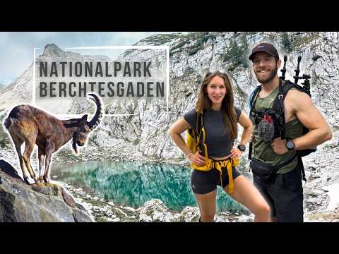 Bergtour in Berchtesgaden: Jenner über Schneibstein zum Königssee | Seeleinsee & wilde Steinböcke