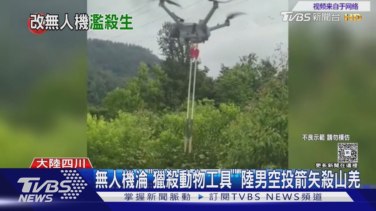 非法獵殺山羌! 陸男子「無人機改裝夜視」空投鋼箭