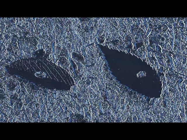 Event Camera Beetle Detection at 500 FPS