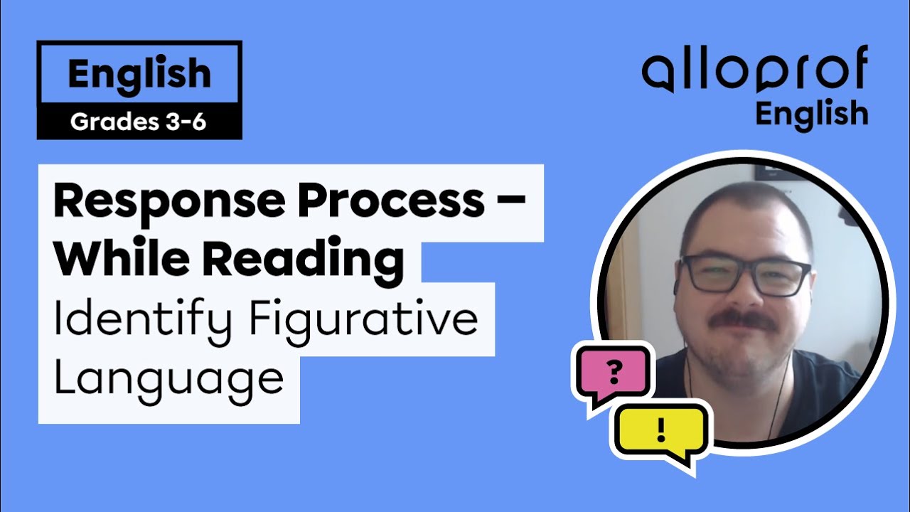 Response Process—During  Reading: 3 - Indentify Figurative Language