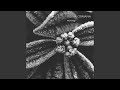 Luxurious Fragment (in two parts)