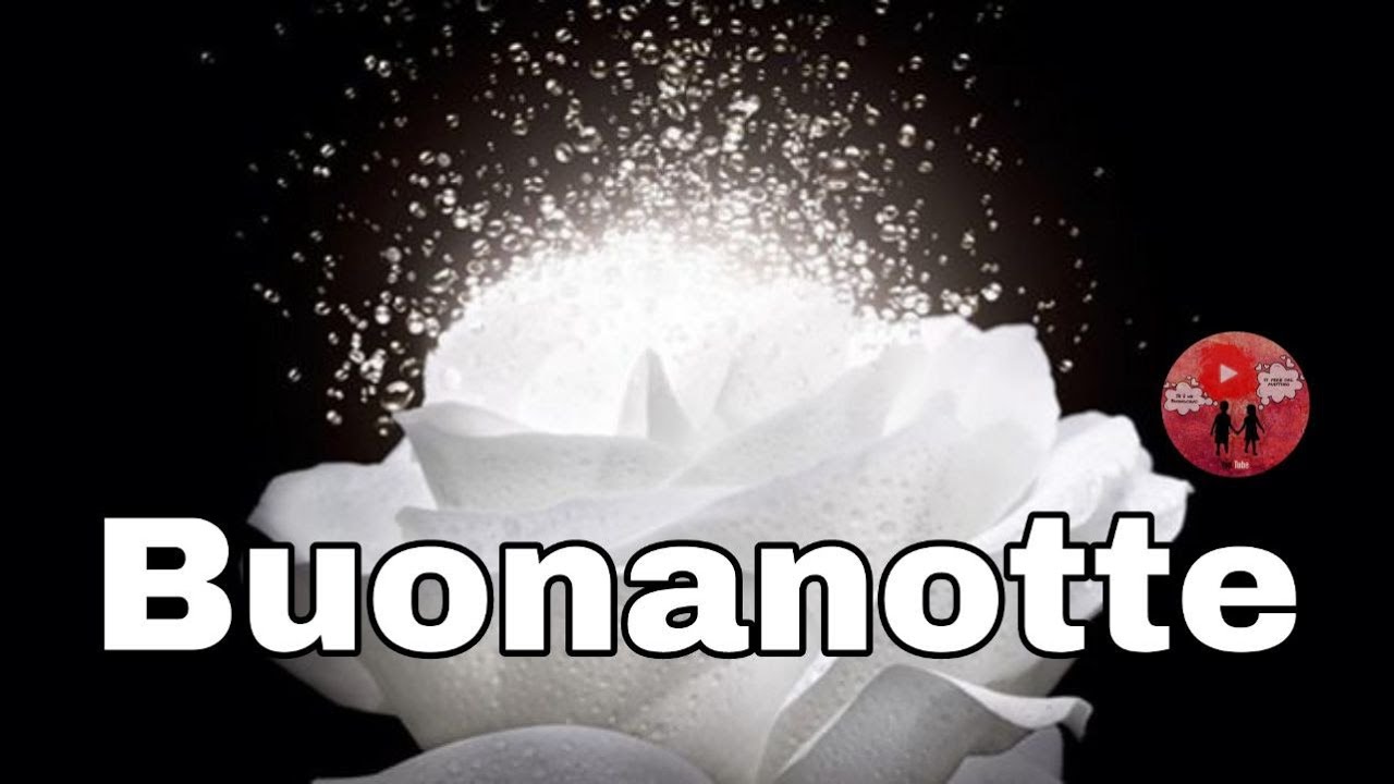 VIDEO BUONANOTTE CON FINALE DIVERTENTE 🤣 (WhatsApp, Facebook).