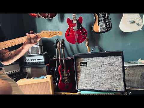Harmony H-304 1960s Full serviced - video image 22