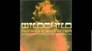 Wildchild - Renegade Master(Fatboy Slim Old Skool E video