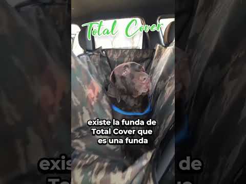 Miniatura de YouTube