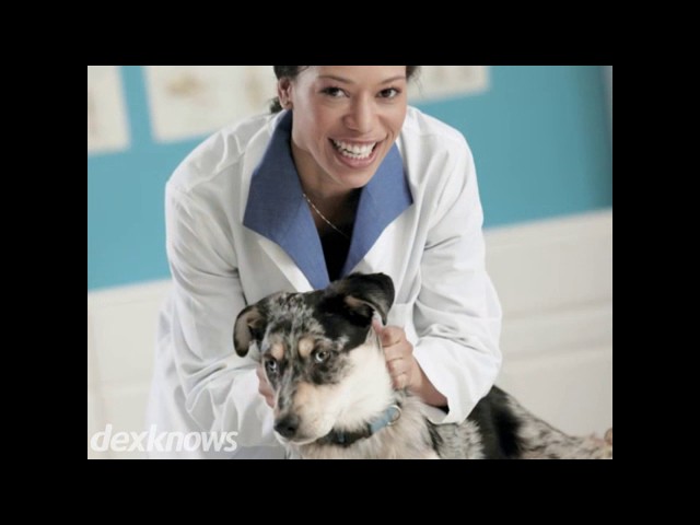 Fisher Hollow Veterinary Clinic - Damascus, VA