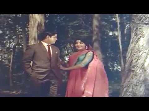 Kannan Ennum Mannan Paerai - Sreekanth, Jayalalithaa - Vennira Aadai