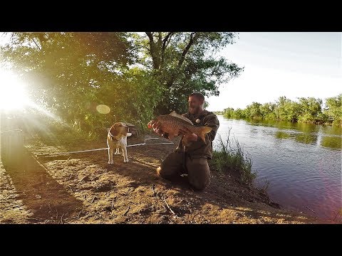 Рыбалка! Просто Огонь!Жизнь в Палатке На Диком Берегу.Копчёный Сазан.