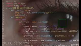 Pupil Detection 👁️👁️