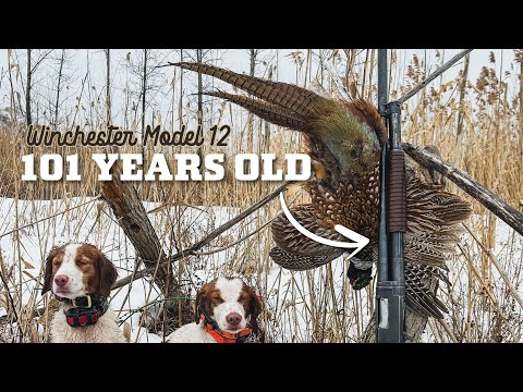 Final Hunt of 2025 - Winchester Model 12 Pheasant Hunt!