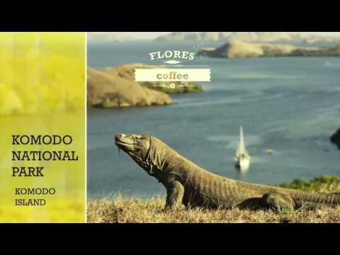 INDO365 - DRINK - Remarkable Indonesian Coffee