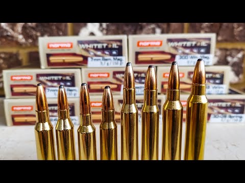 Norma Whitetail Ammo - Full Review of all Loadings