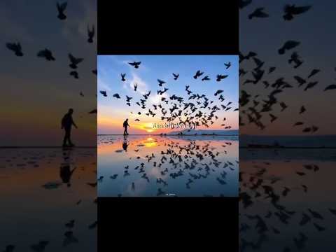 Mann Mera ❤️‍🩹 | Subscribe This Channel : @x_bittu04 |  #shots #lyricssong #explore #vibe