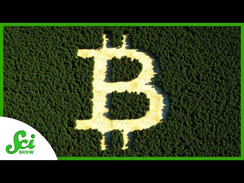 Bitcoin prekybos meistriškumas