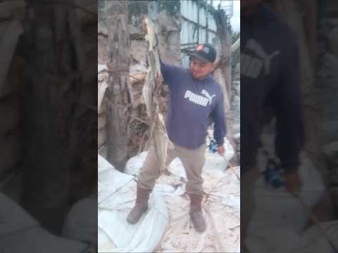 Pesca, Yuto Jujuy